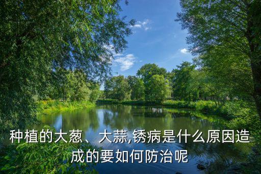 蒜葉子有鐵銹用什么農藥