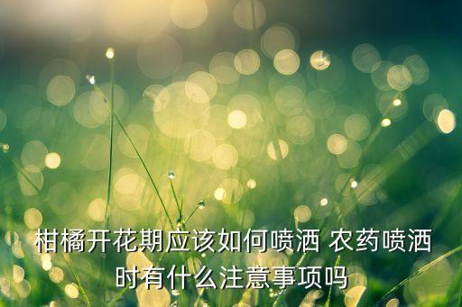 春季柑橘施什么農藥,柑橘花期用什么農藥