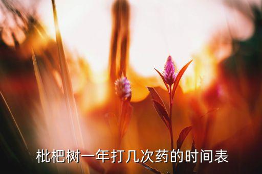 枇杷樹一年打幾次藥的時間表
