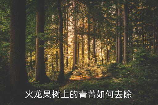火龍果樹上的青菁如何去除