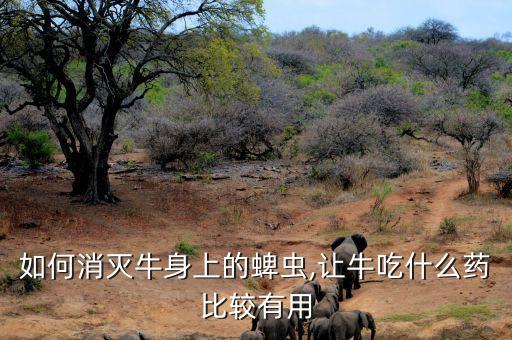 殺蜱蟲什么農藥最有效,菜蟲用什么農藥殺比較好?