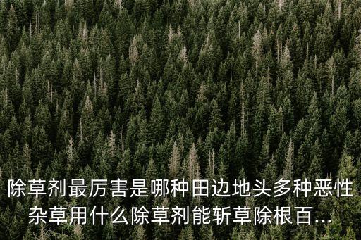 農村什么草農藥殺不死,殺節節草用什么農藥
