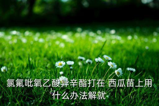 西瓜出苗后用什么農藥