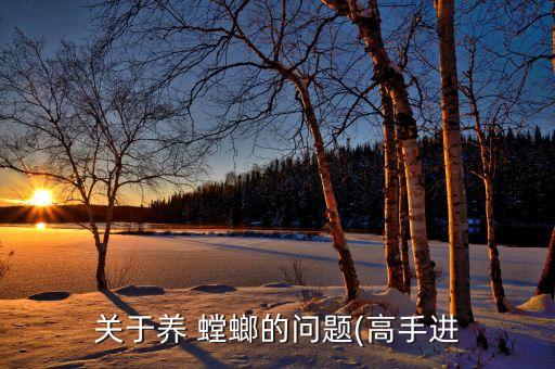 關于養 螳螂的問題(高手進