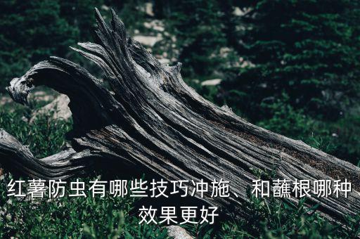 用什么農藥可治地瓜蟲,種地瓜用什么農藥