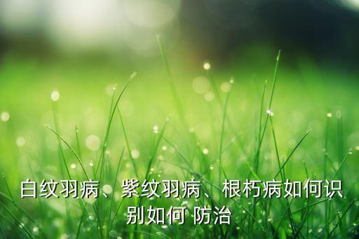 防治白紋用什么農(nóng)藥,果實蠅用什么農(nóng)藥防治?