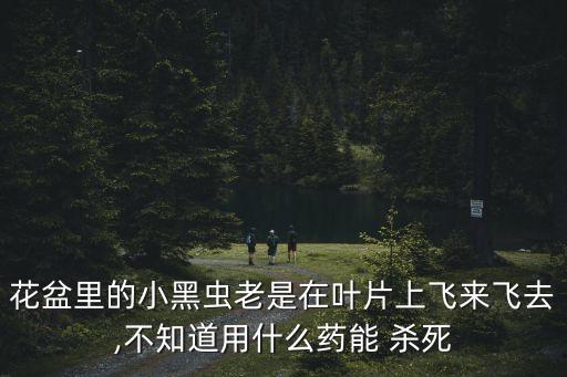 花盆里的小黑蟲老是在葉片上飛來(lái)飛去,不知道用什么藥能 殺死