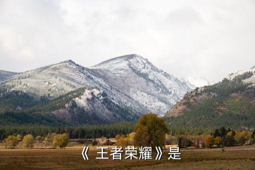 王者還是農藥是什么意思,農藥有效成分含量是什么意思