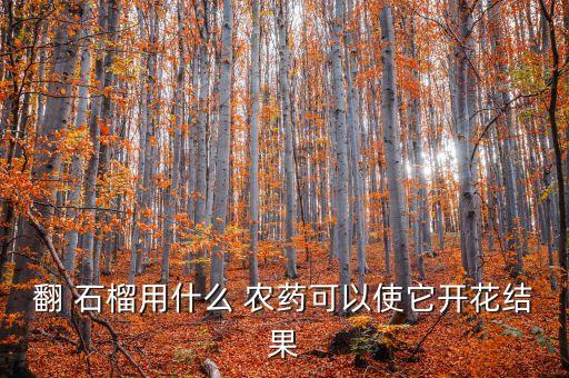 翻 石榴用什么 農藥可以使它開花結果