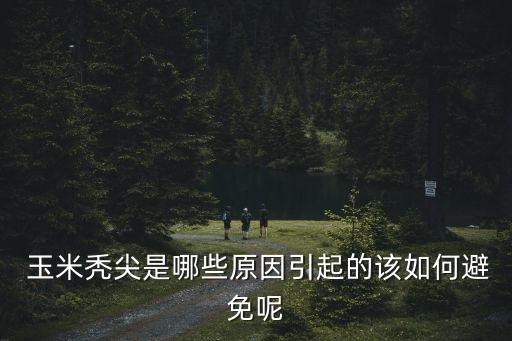 玉米禿尖是哪些原因引起的該如何避免呢