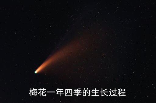 當前紅梅治蟲用什么農藥