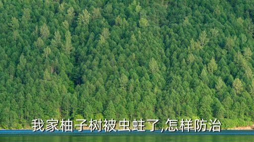 我家柚子樹被蟲蛀了,怎樣防治