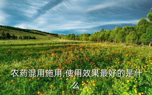 打農藥先放什么藥好呢