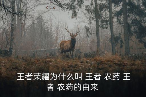  王者榮耀為什么叫 王者 農藥 王者 農藥的由來