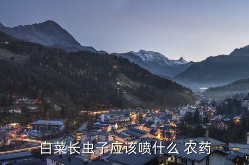 白菜上打什么農藥,白菜打什么農藥山兔子不吃了