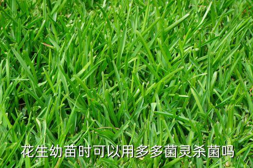 花生幼苗時可以用多多菌靈殺菌嗎