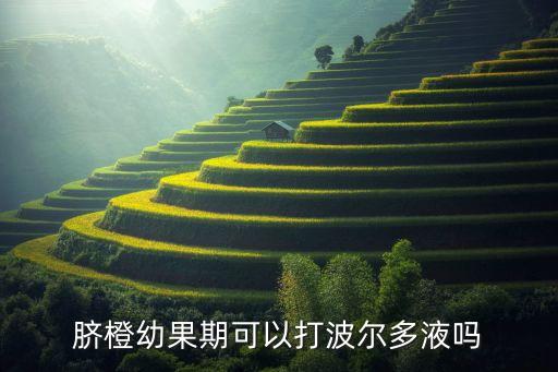 臍橙幼果期可以打波爾多液?jiǎn)? class=