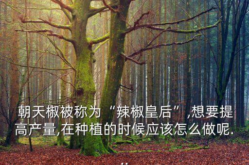 朝天椒被稱為“辣椒皇后”,想要提高產量,在種植的時候應該怎么做呢...