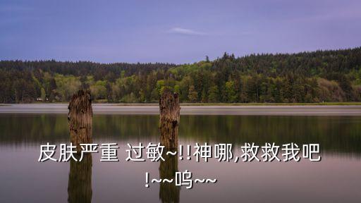 皮膚嚴重 過敏~!!神哪,救救我吧!~~嗚~~