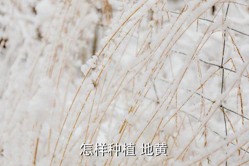 現在地黃地里打什么農藥