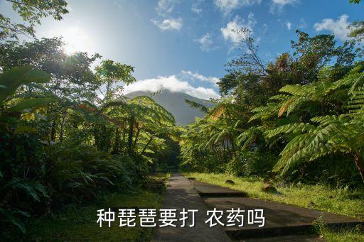 種琵琶要打 農藥嗎