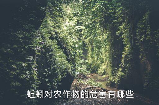 蚯蚓對農作物的危害有哪些