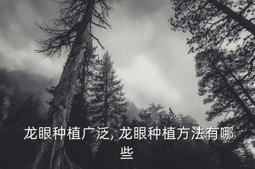 龍眼種植廣泛, 龍眼種植方法有哪些