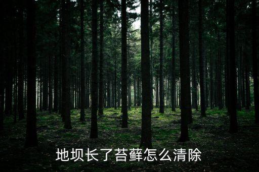 地壩長了苔蘚怎么清除