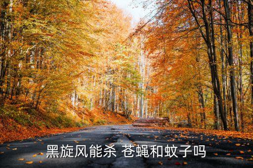 黑旋風(fēng)能殺 蒼蠅和蚊子嗎