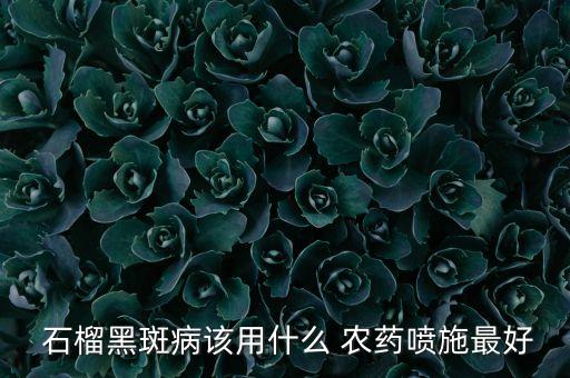 石榴黑斑病該用什么 農藥噴施最好