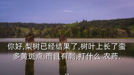 你好,梨樹已經結果了,樹葉上長了蠻多黃斑點,而且有刺,打什么 農藥...