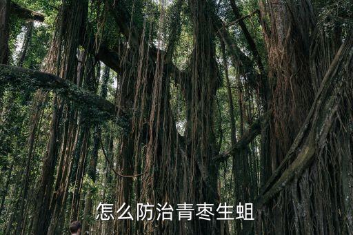 大青棗白粉病打什么農藥