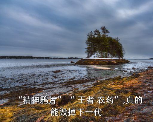 王者農藥為什么好看,王者為什么那么好看