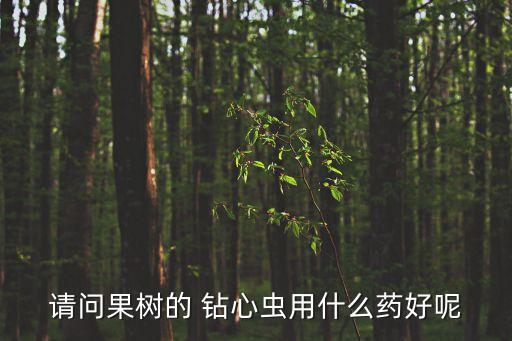 請(qǐng)問(wèn)果樹(shù)的 鉆心蟲(chóng)用什么藥好呢