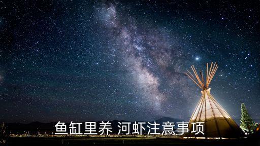 魚缸里養(yǎng) 河蝦注意事項(xiàng)