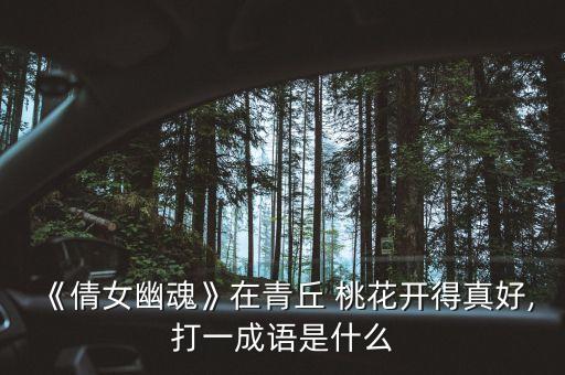 桃花開應該打什么農藥