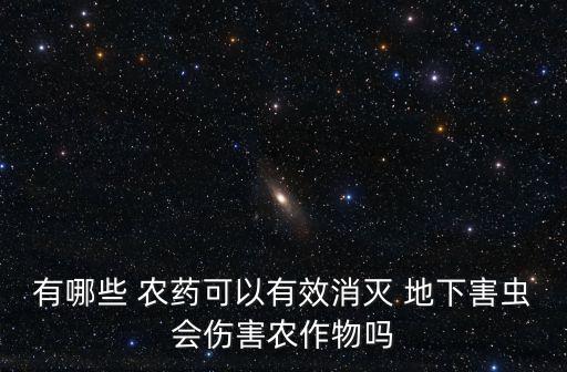 什么殺地下蟲的農藥,3911農藥殺地下蟲怎樣