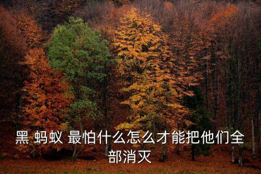 螞蟻最怕什么農(nóng)藥,螞蟻怕什么味道而遠離