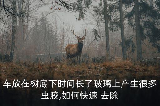 車放在樹底下時間長了玻璃上產生很多蟲膠,如何快速 去除