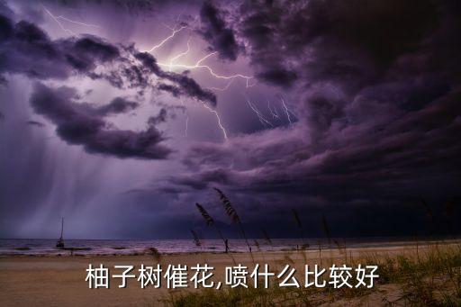 柚子用什么農藥好,柚子噴什么農藥