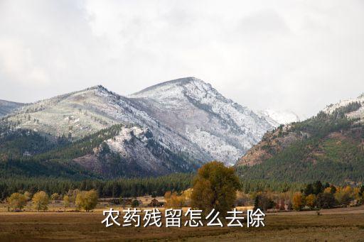 打完農藥后吃什么可以排毒