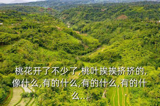 桃花開了不少了,桃葉挨挨擠擠的,像什么,有的什么,有的什么,有的什么...