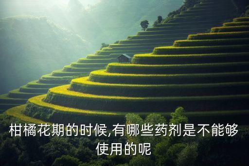 柑橘花期的時候,有哪些藥劑是不能夠使用的呢