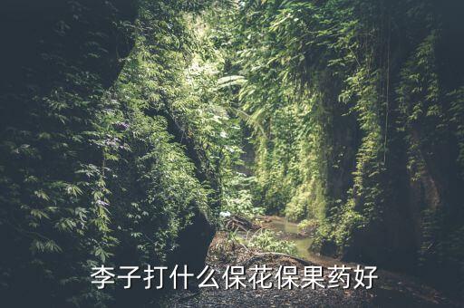 農藥網李子爛果用什么農藥