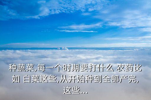 白菜打農(nóng)藥什么時(shí)間打好,白菜上有蟲用什么農(nóng)藥效果好