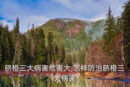 臍橙三大病害危害大,怎樣防治臍橙三大病害