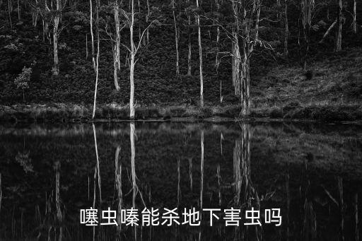 噻蟲嗪能殺地下害蟲嗎