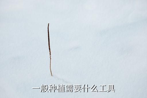 一般種植需要什么工具
