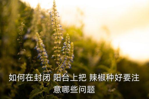 如何在封閉 陽臺上把 辣椒種好要注意哪些問題
