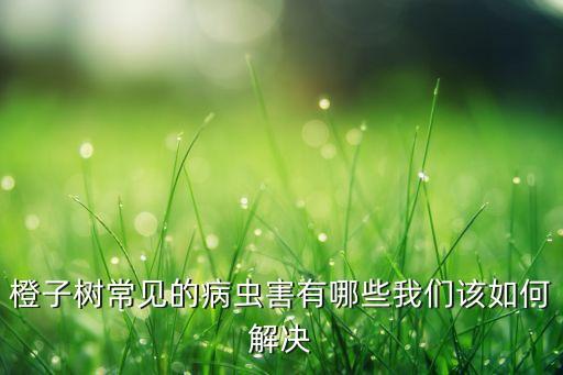 臍橙現在要打什么農藥,臍橙病害用什么農藥